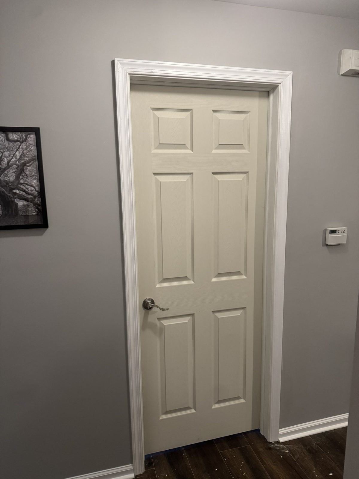 Six-panel interior door hung with fresh casing and baseboard against a grey wall